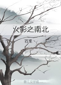 (火影同人)火影之南北
